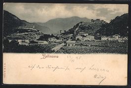 Bellinzona, Ortsansicht aus der Vogelsch