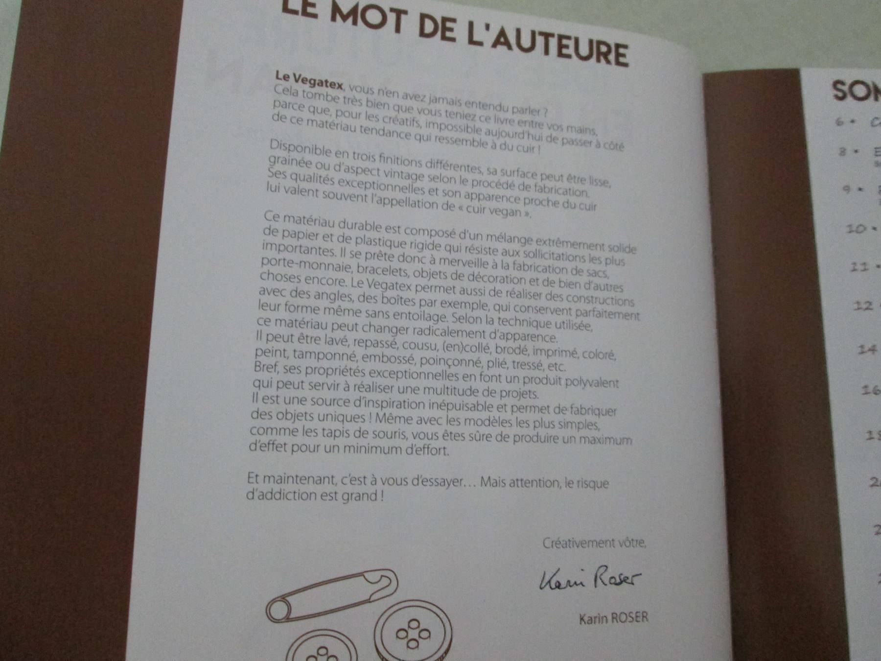 Libri: Idées couture en papier vegan – Nuovo (secondo la descrizione) da Neuchâtel venduto da Dualseele 1