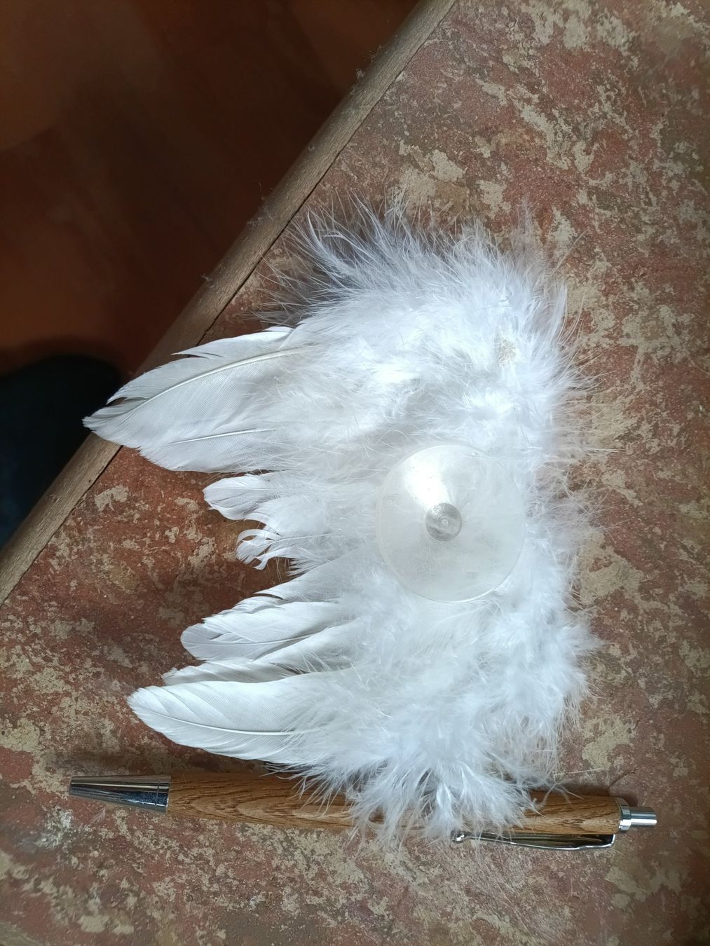 Monde des animaux: Echte Flügel zum Basteln – Neuf (Voir description) à Abtwil SG par Tonisberg 1
