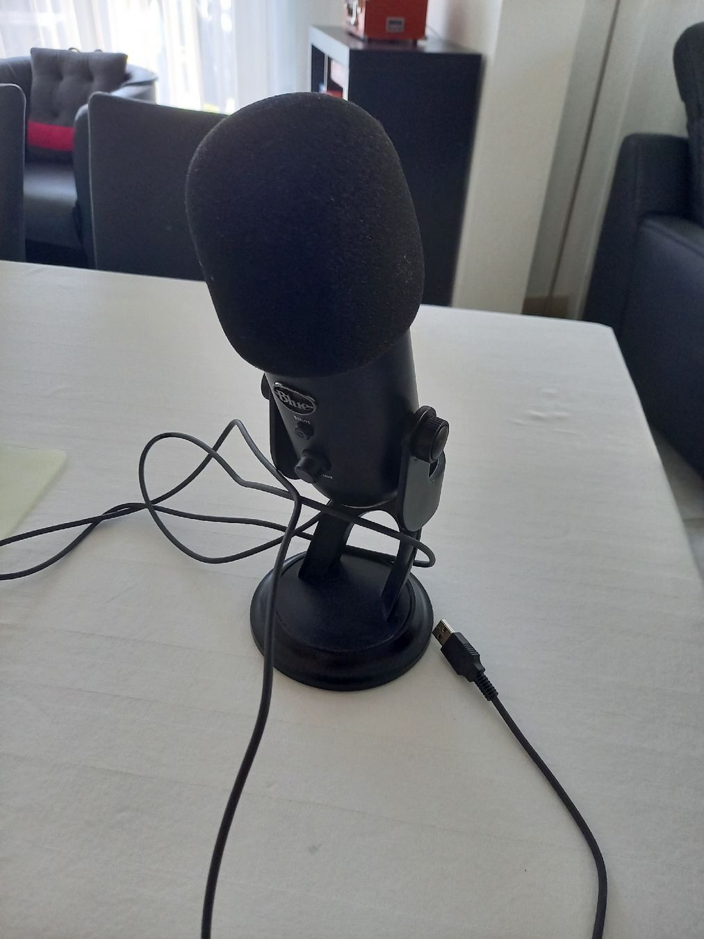 Mikrofone: Blue Mikrofon Yeti mit Popschutz  / Prof. USB-Mikrofon OVP – Gebraucht aus Muttenz von Chipsy2009
