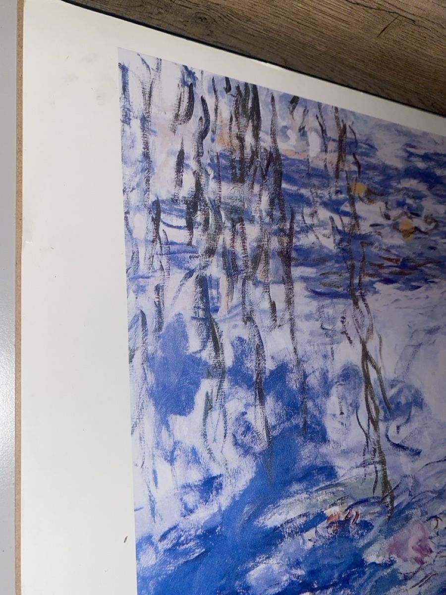 Foto & Immagini: Monet's Water Lilies Print – Usato da Dietikon venduto da Tdaf33 2