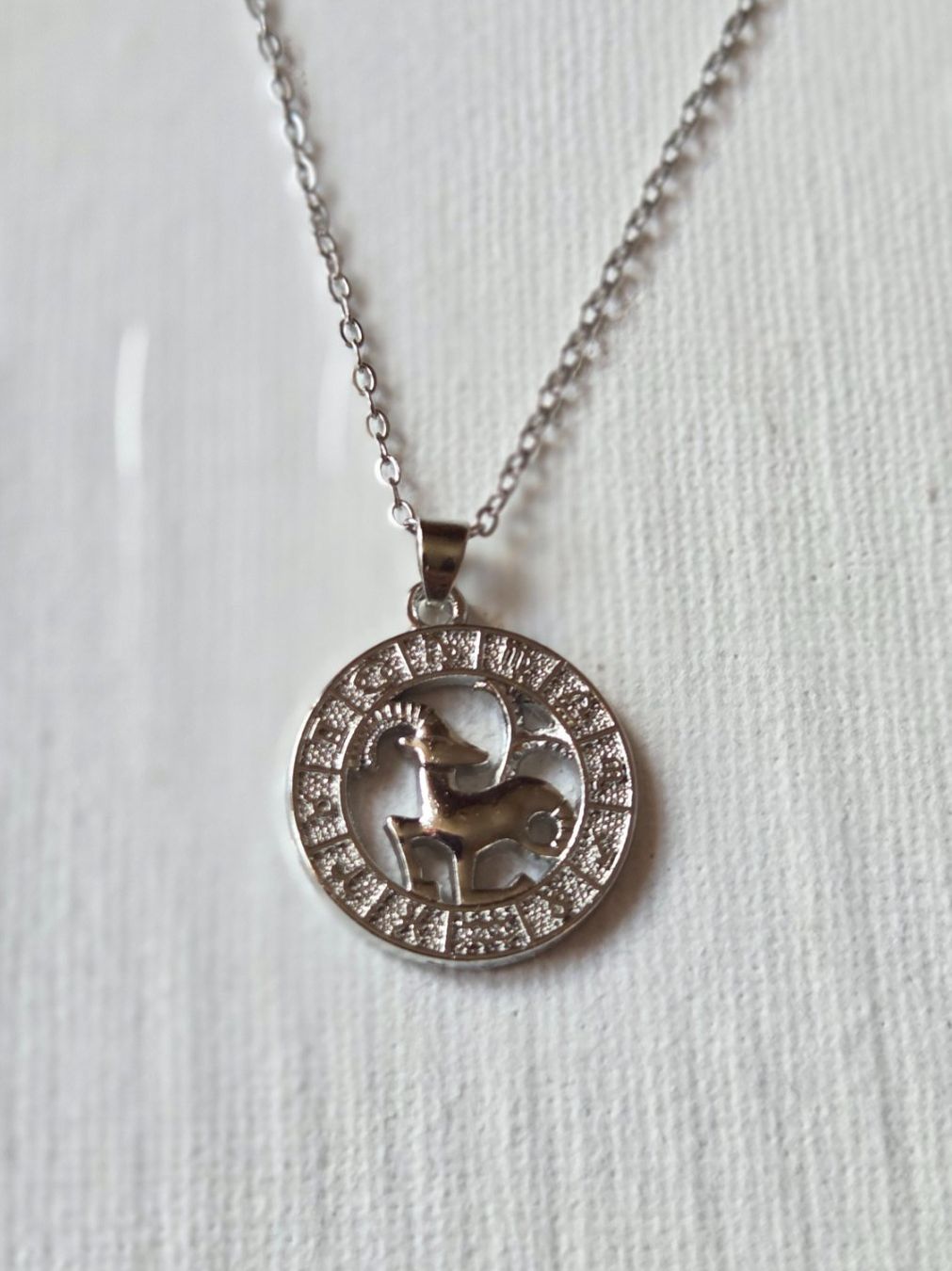 Catenine: ZODIAK Kette [Steinbock] Silberfarbe Astrologie Schmuck NEU – Nuovo (secondo la descrizione) da Weggis venduto da Leeclipse 1