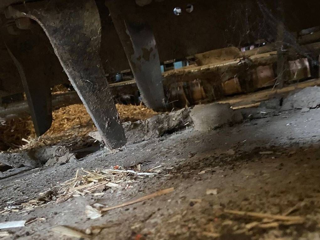 Tutte le macchine: Säkombination – Usato da Lachen SZ venduto da Melia6 3