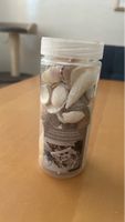 Streudeko Sommer Muscheln Deko Assortite