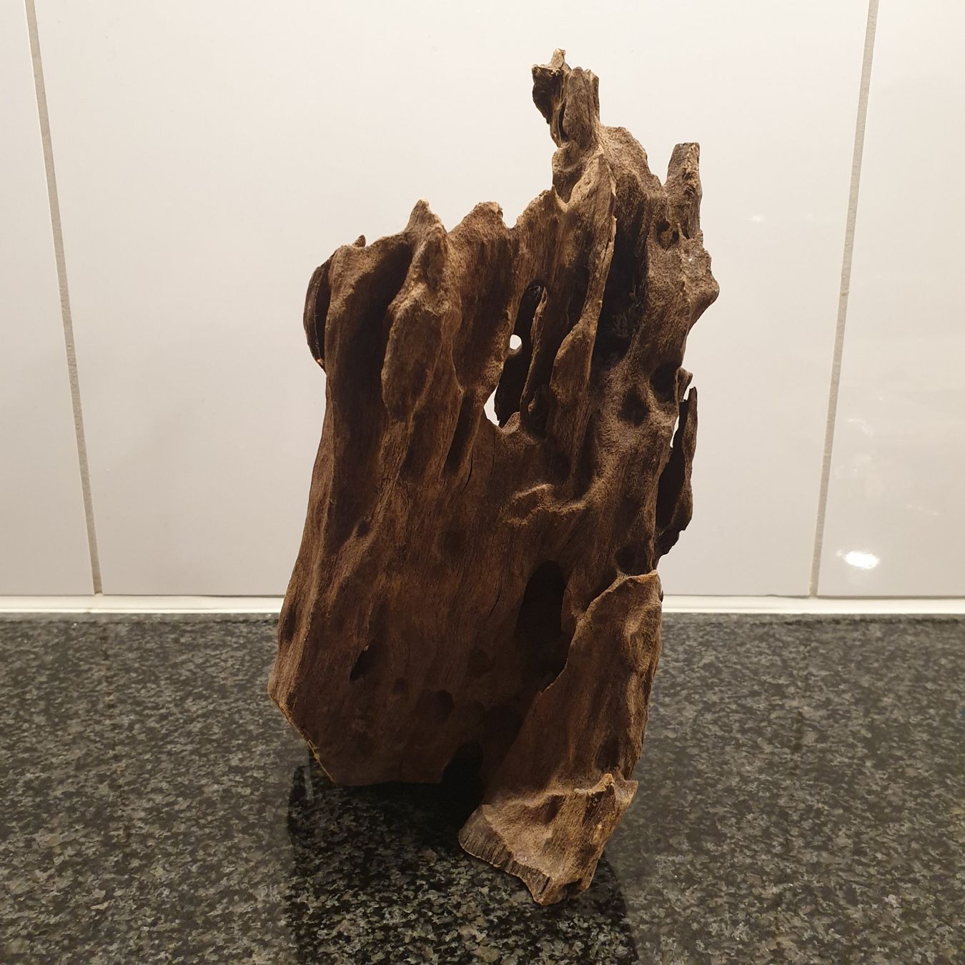 Articles en bois: Holzwurzel Aquarium- / Terrariendeko, 21x13cm, 819g – D'occasion à Neuendorf par DeSiriA 3