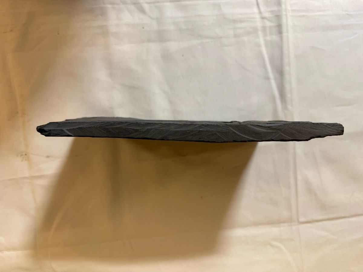 Fossili: Fossilienplatte – Usato da Gränichen venduto da onkel_xxl 6