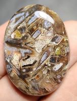 Cabochon L-4806 – Stabachat 32,5x23,5x6mm 44 Karat