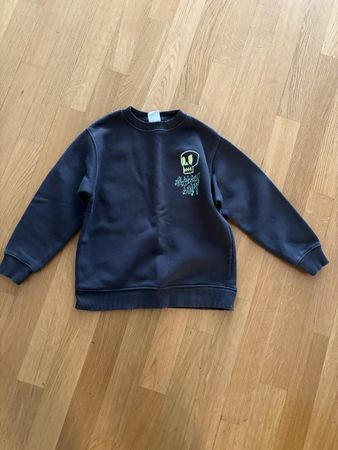 Pulli Junge Gr. 130 ZARA