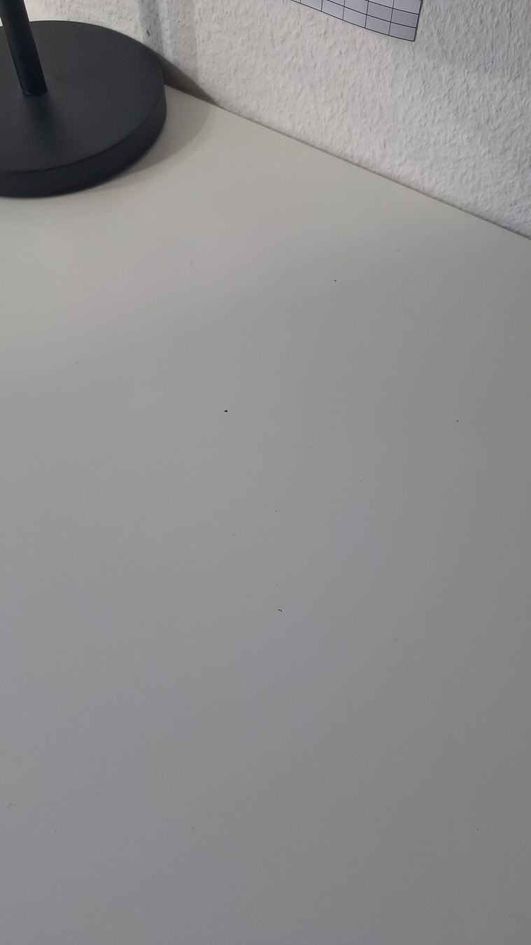 Scrivanie: Schreibtisch IKEA LAGKAPTEN/ALEX – Usato da Gerlikon venduto da ampu 3