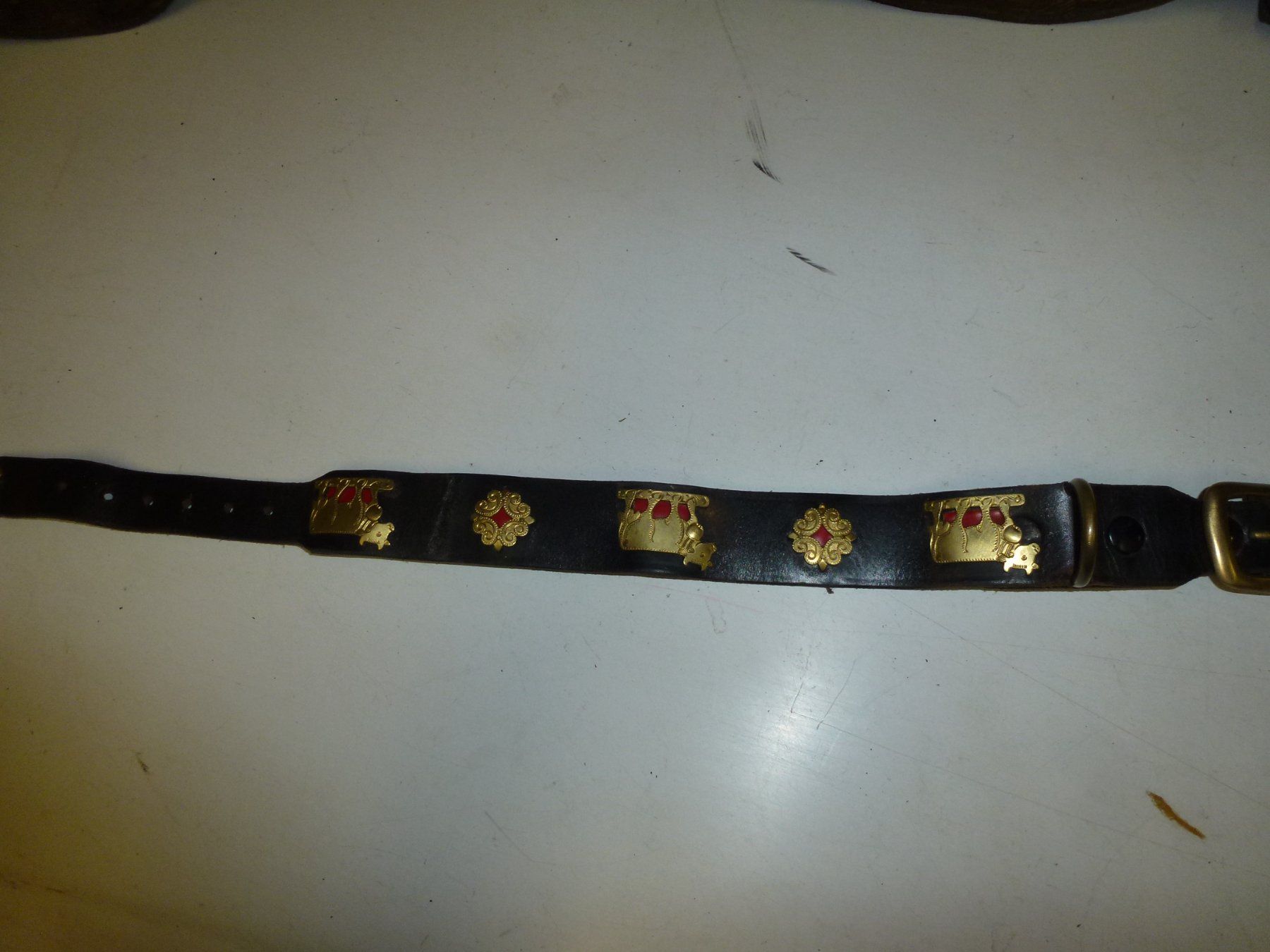 Campanacci mucche: Hundehalsband – Usato da Bürglen UR venduto da daisyxy5