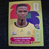 RSA 7 Panini FIFA WM 2026