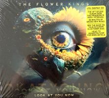 THE FLOWER KINGS - LOOK AT YOU KNOW