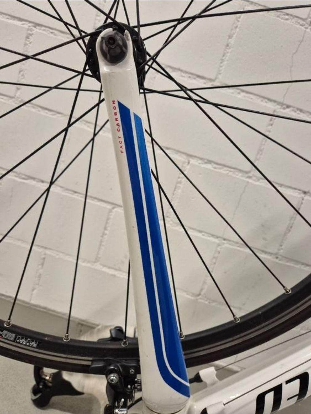 Specialized Biciclette: Velo specialized Rennrad – Usato da Bern venduto da vla_hbl9 8