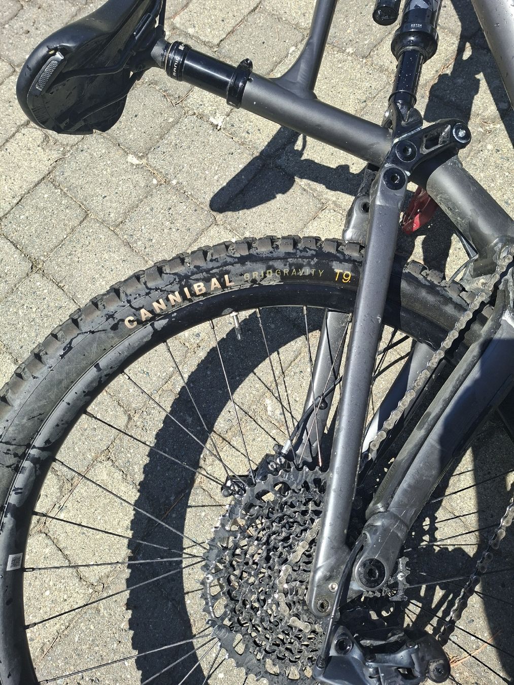 Specialized Biciclette: specialaized status 160 – Usato da Savièse venduto da max_5kwm 2