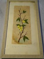 Zwei Originalaquarelle von Emil Waldmann 1970er