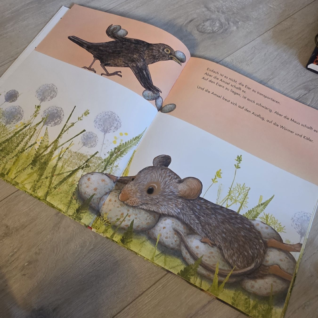 Libri: Kinderbuch: Ei, Ei, Ei! Die Maus hilft aus. – Nuovo (secondo la descrizione) da Wigoltingen venduto da Zuckerfee84 2
