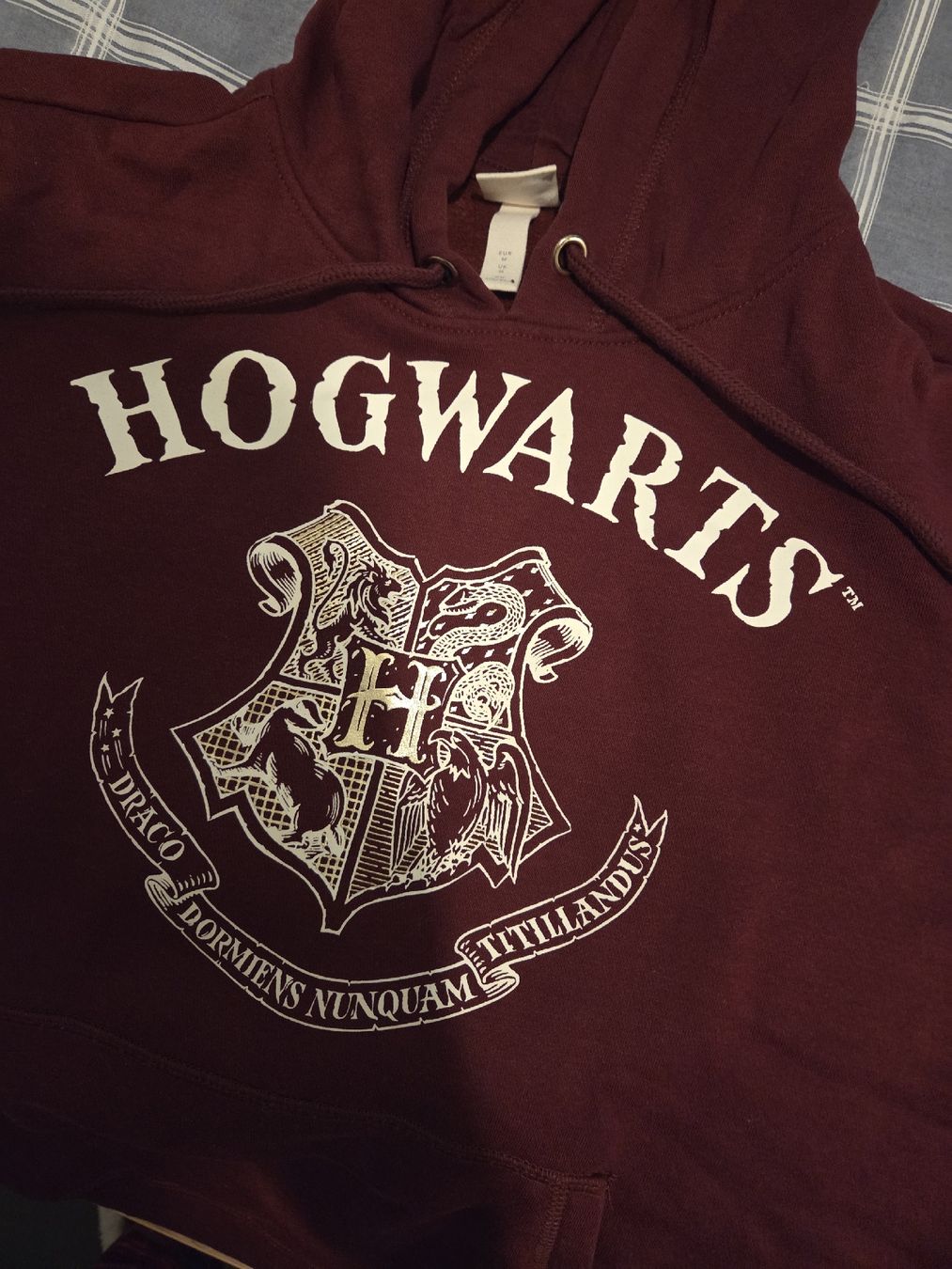 H&M Maglioni & Felpe: Hogwarts Hoodie H&M Grösse M – Usato da Bonstetten venduto da atiale 2