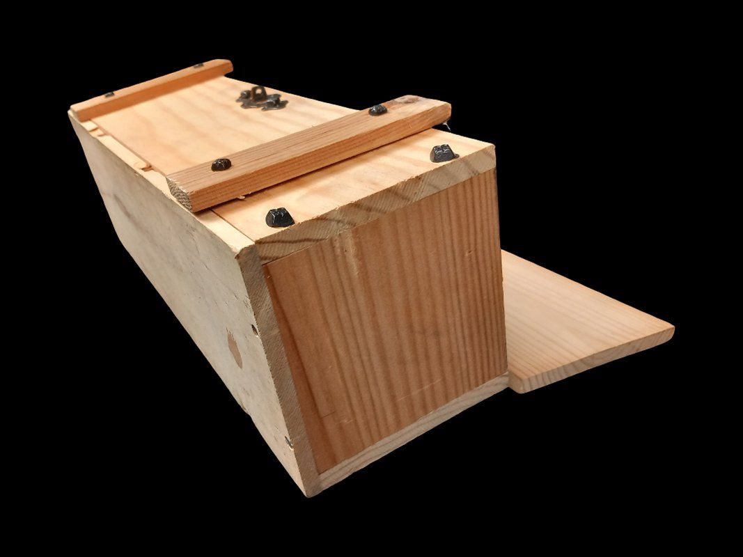 Coffres: Holztruhe – D'occasion à Hünenberg par Restwert_Zug 3