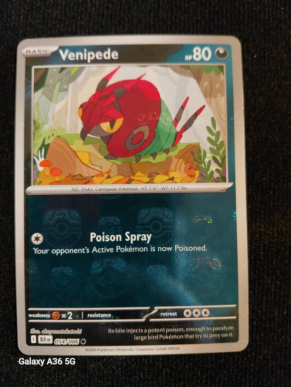 Pokémon Carte collezionabili: Venipede Masterball Blk 054/08 – Nuovo (secondo la descrizione) da Zuchwil venduto da Sam-ler-in
