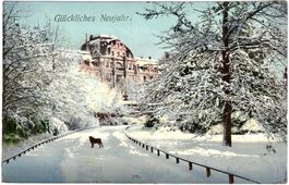 Glückliches Neujahr ZÜRICH??? ca. 1907 (ZH)