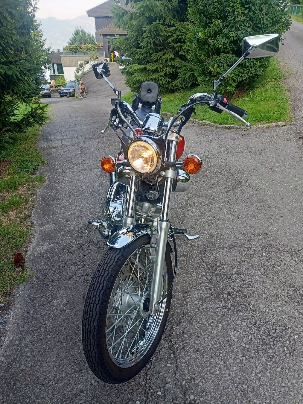 Yamaha Chopper: Yamaha Virago XV535, 6000km, 25kW – Gebraucht aus Hergiswil NW von WeZ3_ 2