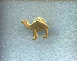 CAMEL