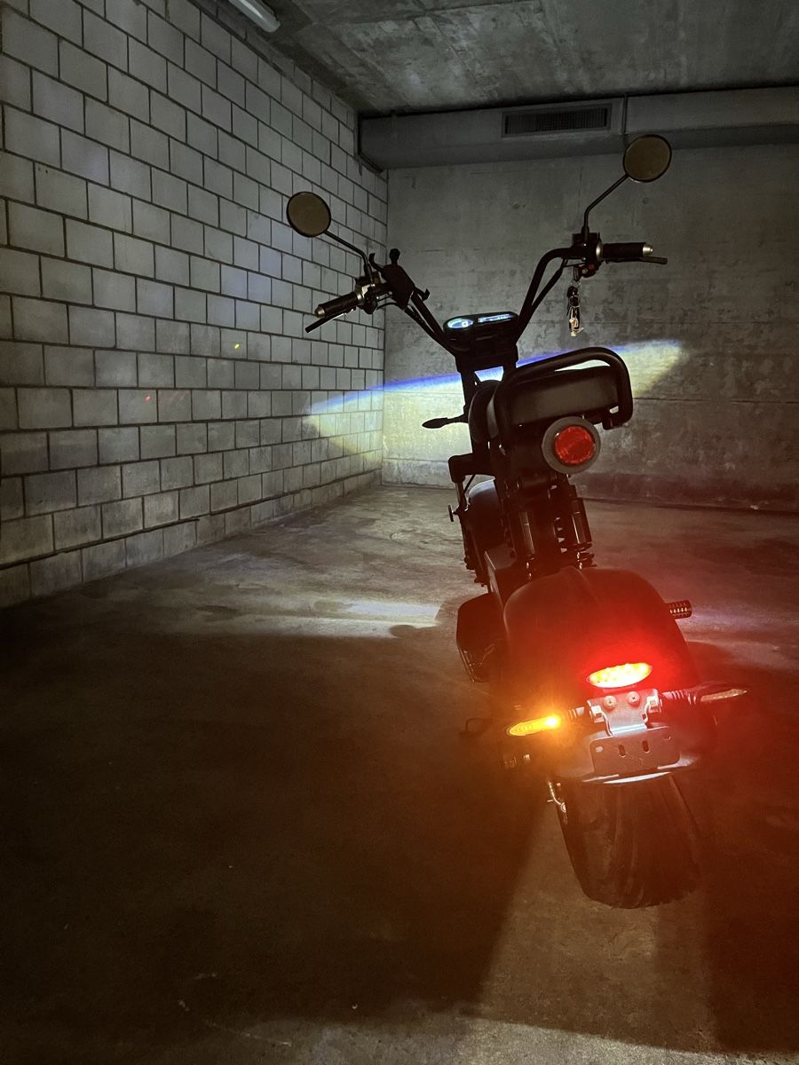 Züriflizzer Scooter: E-Roller – Usato da Adliswil venduto da tei_99kz 1