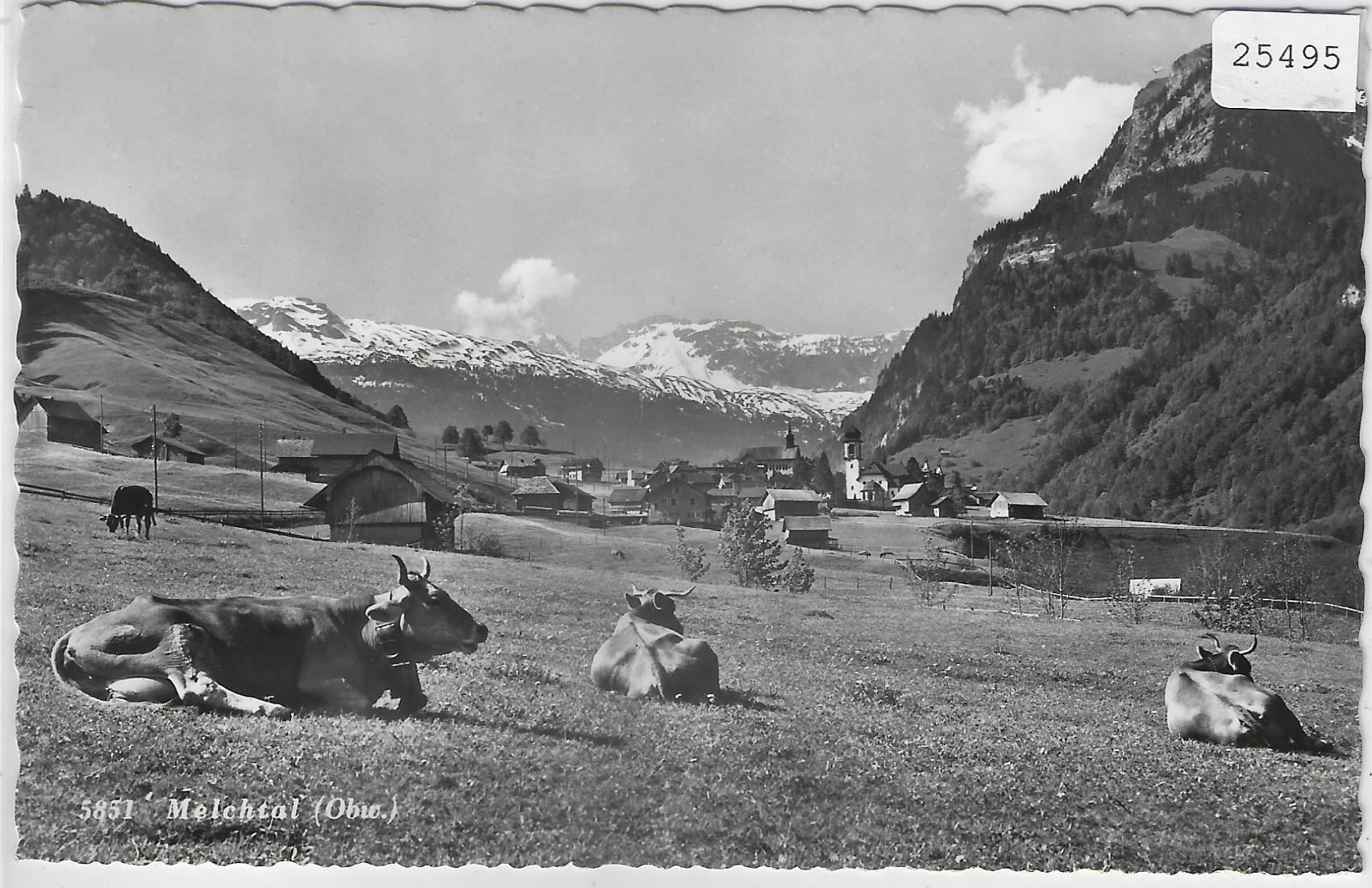 Ansichtskarten: Melchtal mit Kühen vaches cows – Antik aus Ettingen von Kartenplanet