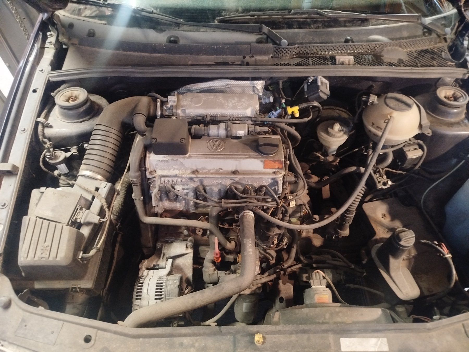 VW Autos: Golf GTI Scheunenfund – Défectueux à Grosswangen par St-Randegger 8