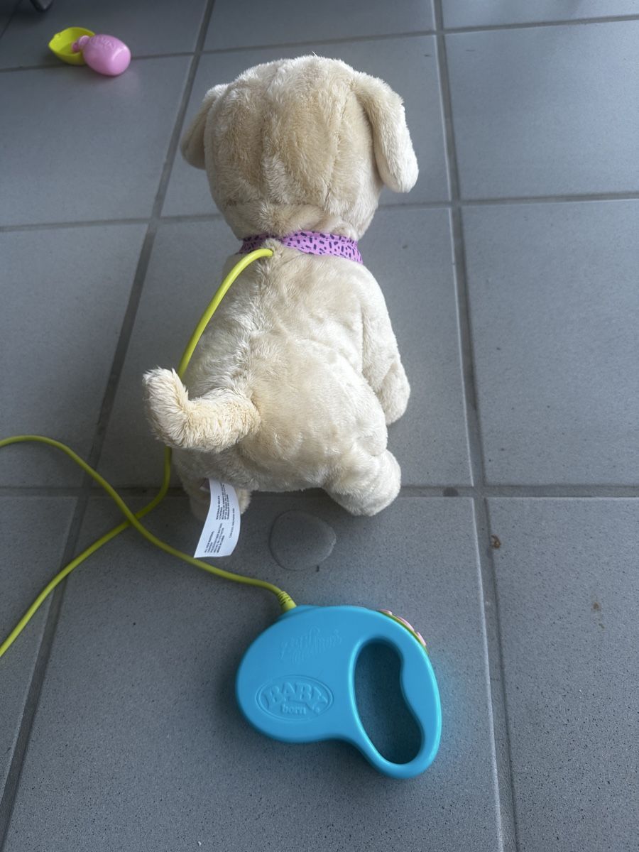 Giocattoli: Baby Born Hund Lucky – Usato da Forch venduto da sv94 2