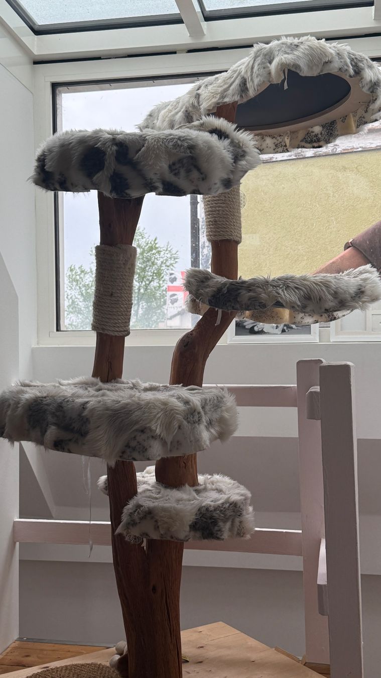 Tiragraffi: Pet Couture Kratzbaum mit 5 Liegeflächen – Usato da Birsfelden venduto da sup_h5x6
