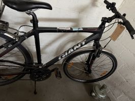 Herren Velo  