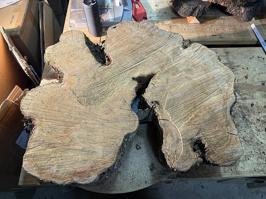 Articles en bois: Olivenholz Wurzelscheibe W3 – D'occasion à Buus par macipioji 1