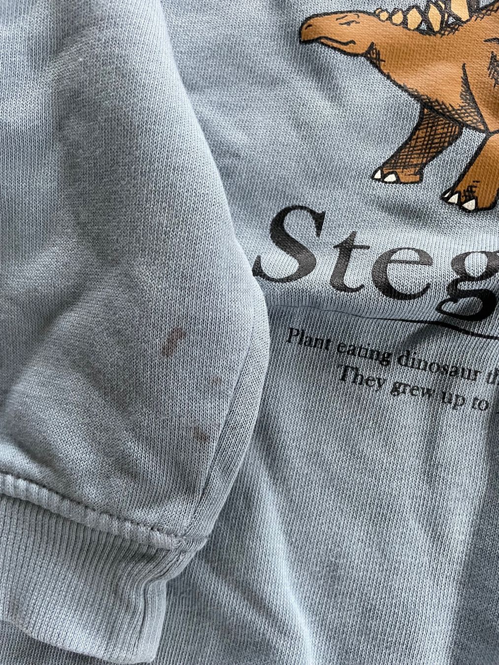 H&M Pulls et sweat-shirts: Dino Pullover / Sweatshirt Gr. 110/116 H&M – D'occasion à Aesch ZH par lawas 3