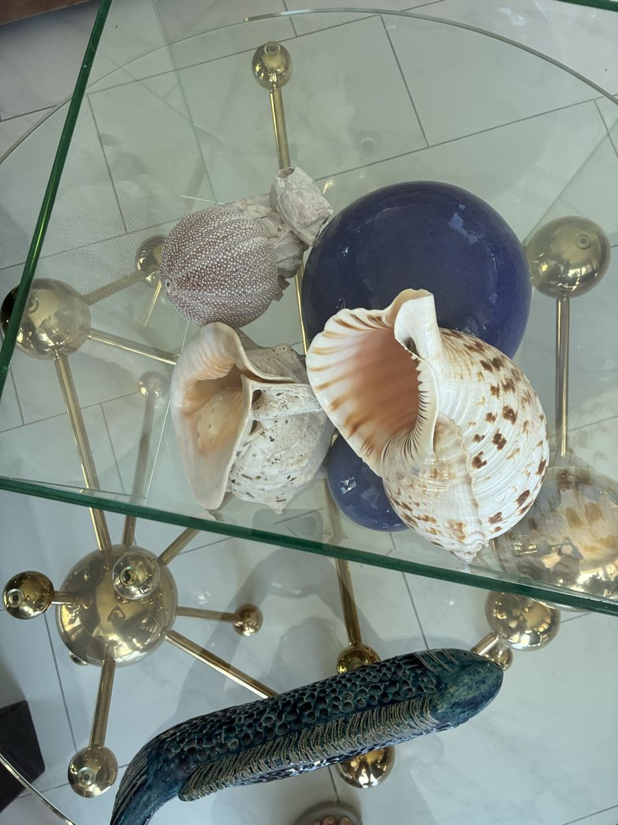 Fossili: Div grosse Muscheln – Usato da Au ZH venduto da Daiga 2