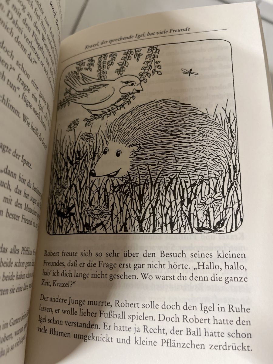 Libri: Gänseblümchen erzählen - vollwertköstliche Märchen – Usato da Stans venduto da scheuerc 5