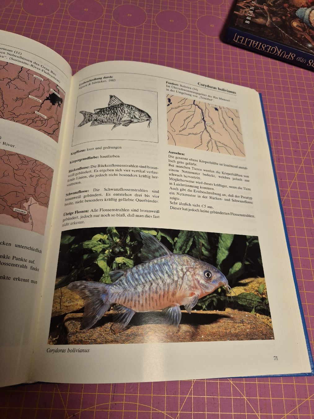 Bücher: Buch Corydoras Panzerwelse Aquaristik – Gebraucht aus Wynigen von La_Talpa 3