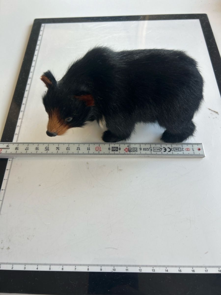 Statuette: Stuffed bear toy black approx.(S21) – Usato da Neuenhof venduto da bro_9zsg 5