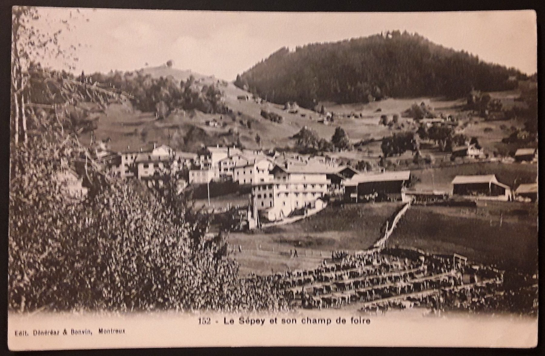 Cartoline postali: 1908: Carte Le Sepey et son champ de foire – Usato da Walperswil venduto da Tcheidi