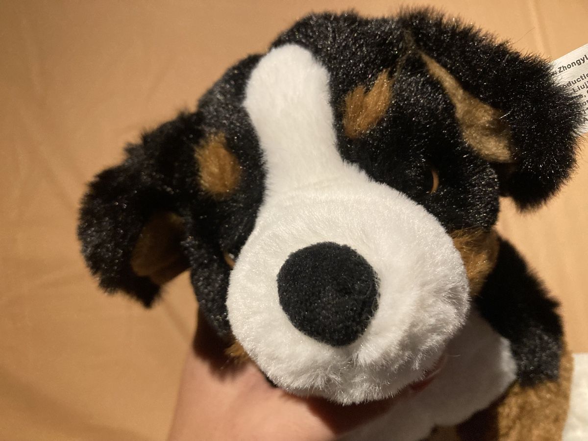 Giocattoli: Chien en peluche neuf – Nuovo e nell'imballaggio originale da Chancy venduto da dia_tb2t 4