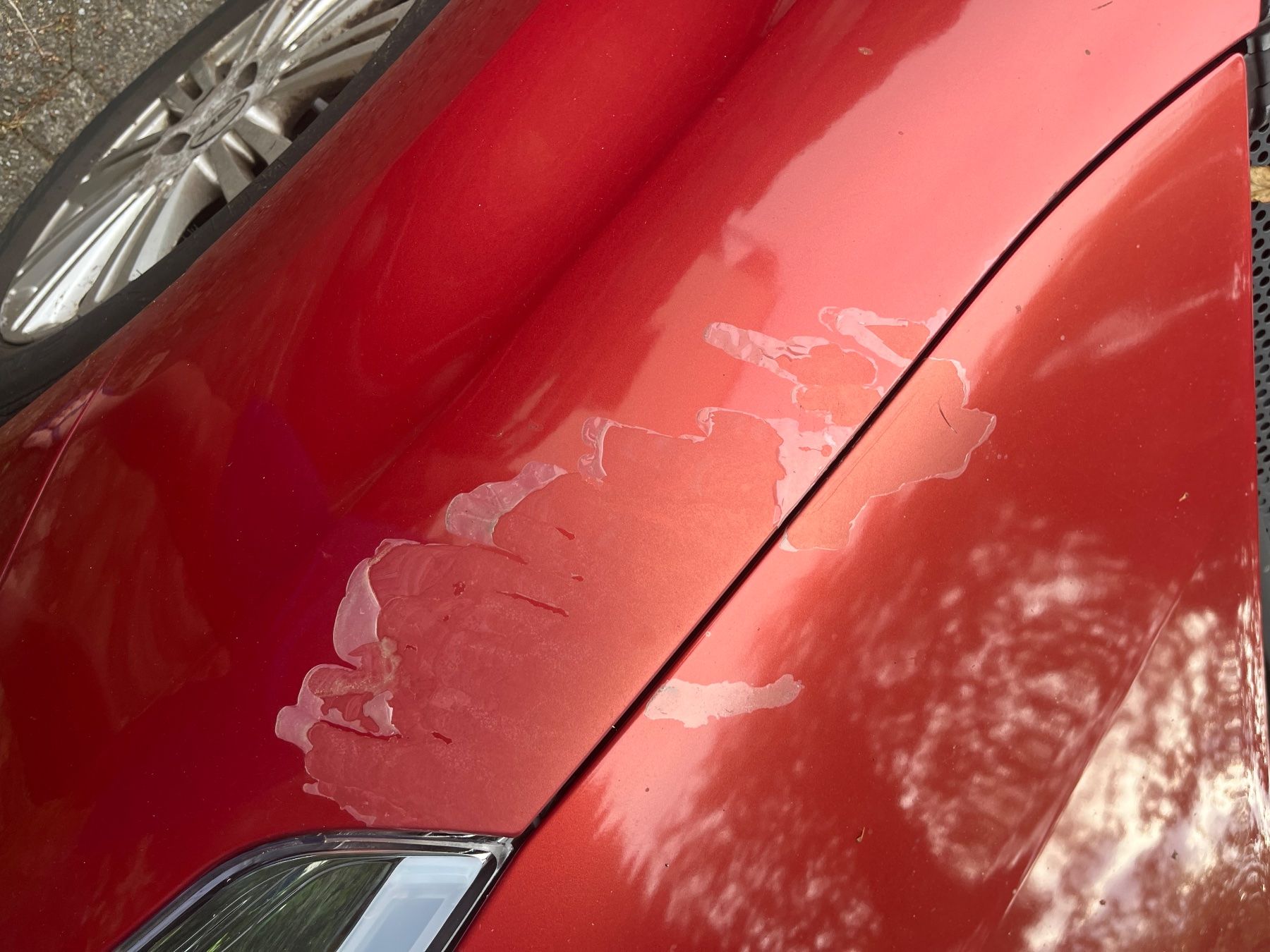 Citroën Automobili: Citroen C4 Modell Coupé. – Usato da Ebikon venduto da Carlocap 3