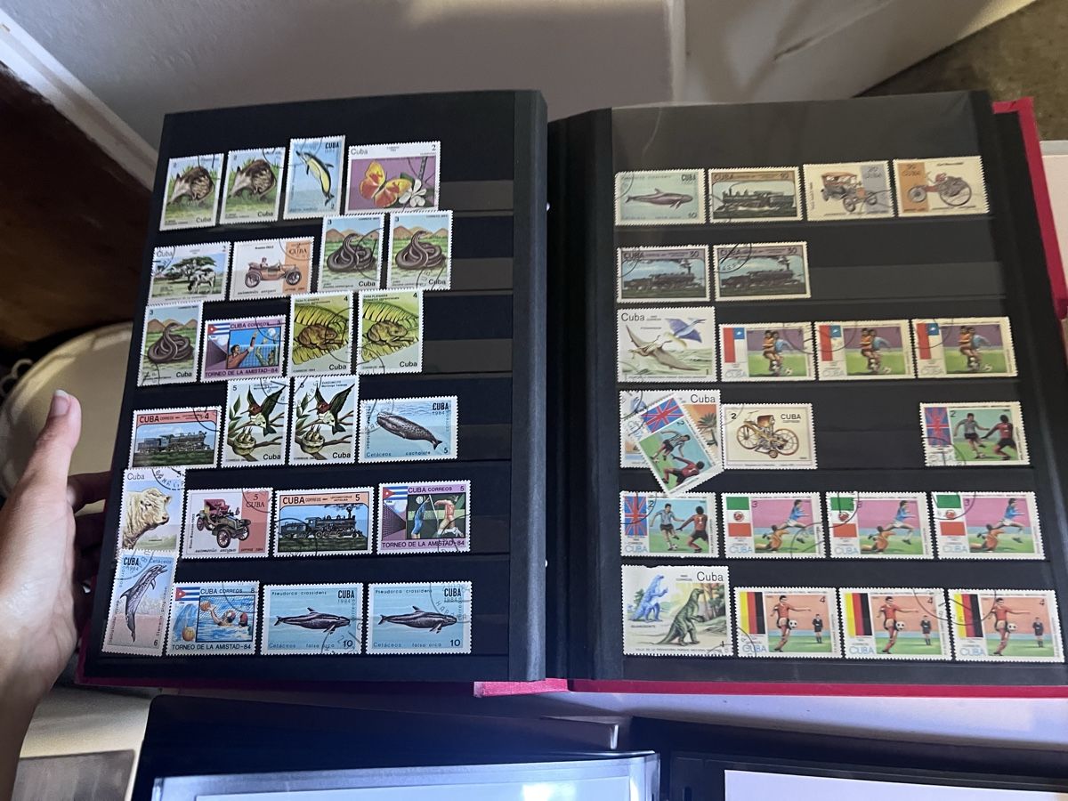 Tutti i francobolli: Briefmarken Sammlung in Alben (5) – Usato da Glattfelden venduto da maa_qcj8 8