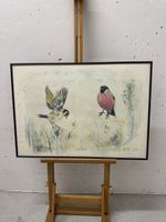 Fritz Hug Litho Vögel 118/250