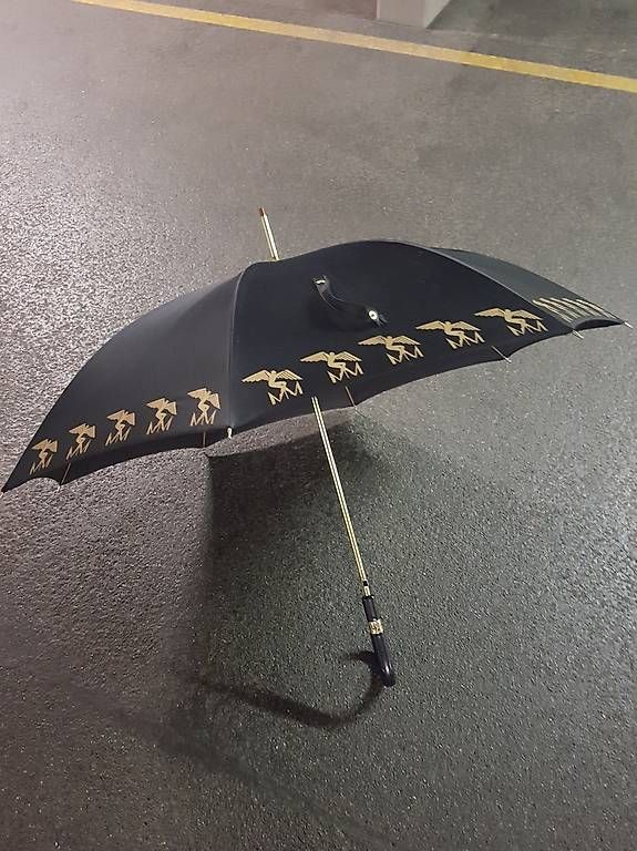 Regenschirme: Maison Mollerus Regenschirm – Gebraucht aus Rorbas von Logix
