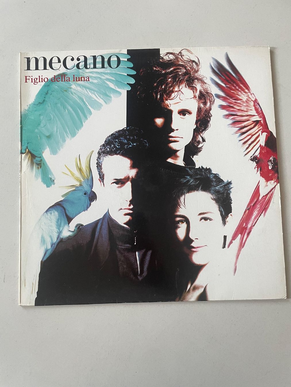 Dischi in vinile: LP - Mecano - Figlio della luna – Usato da Minusio venduto da Pink222