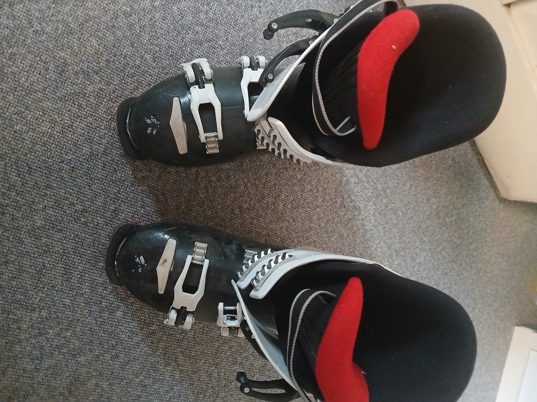 Scarpe per ragazzi: Skischuhe TecnoPro TS-5 – Usato da WATTWIL venduto da Simplexa