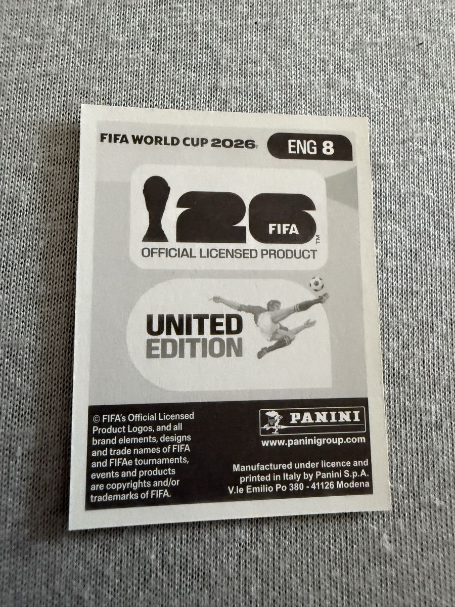 Panini Carte collezionabili: ENG8, Dan Burn, Panini  – Nuovo (secondo la descrizione) da Amriswil venduto da ALETAL 1