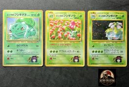 Pokémon Cards Erika’s Bulbasaur Ivysaur Venusaur Set Karte