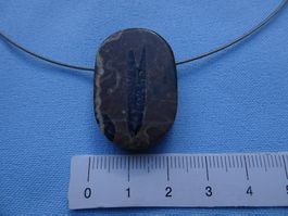 Halskette mit Muschelkalk  Belmnit  Samnaun