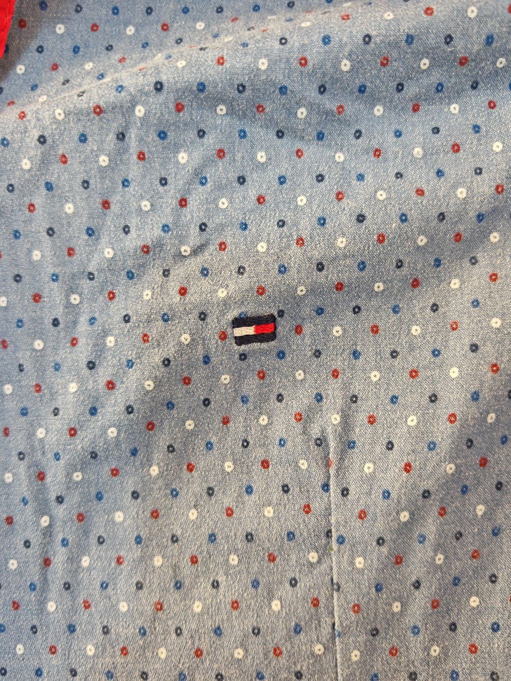 Tommy Hilfiger Camicette: Chemise Tommy Hilfiger bleue M – Usato da Bex venduto da sni_q7lh 2